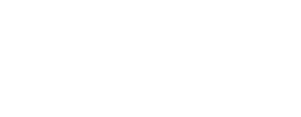 Logo Parkplace