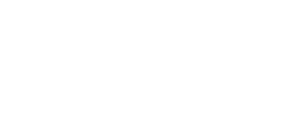 Logo Vicarius